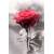 negru-rose